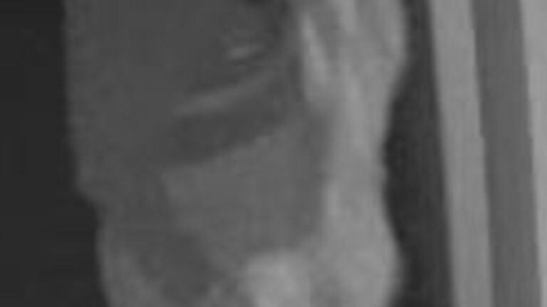 Police investigate temple spray-painted in alleged act of vandalism