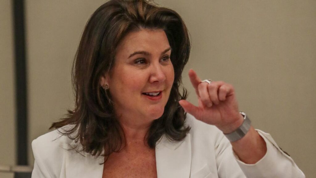 Coalition labels critical minerals tax credits ‘unnecessary’