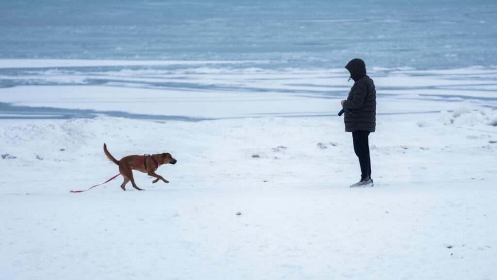Powerful 'bomb cycle' hitting freezing US east coast