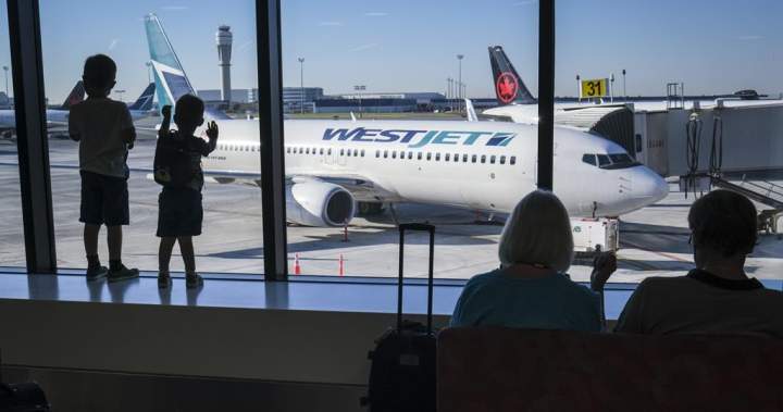Porter becomes latest Canadian airline to restart service to Mexico – National