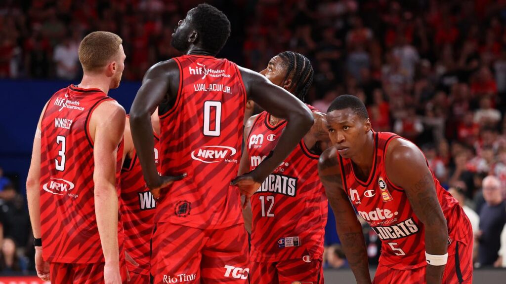 Kristian Doolittle tipped to win Perth Wildcats MVP award as Martin Cattalini joins club’s Hall of Fame