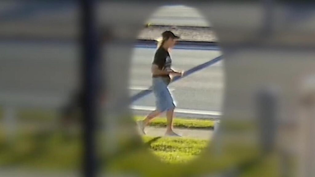 Search intensifies for missing Logan Central woman Dawn Wells