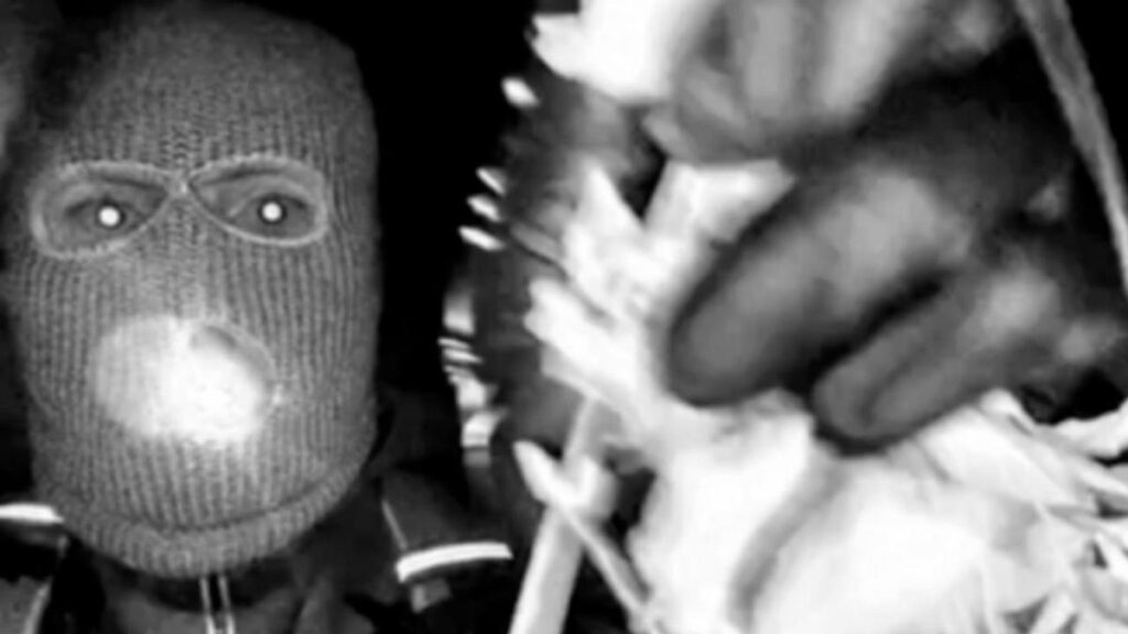 FBI releases images of masked person on Guthrie’s porch