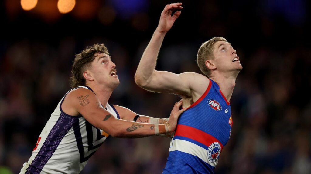 AFL Origin: Western Bulldogs ruck star Tim English earns call-up for WA