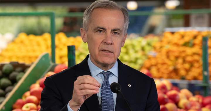 Carney’s grocery, GST benefit plan will cost $12.4B over six years: PBO – National