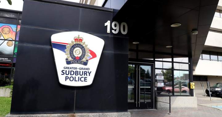 Dog kicked in ‘disturbing’ video removed from owner’s care: Sudbury police