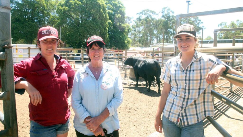 Blackrock Angus Bull Sale hits bullish top of $22,000