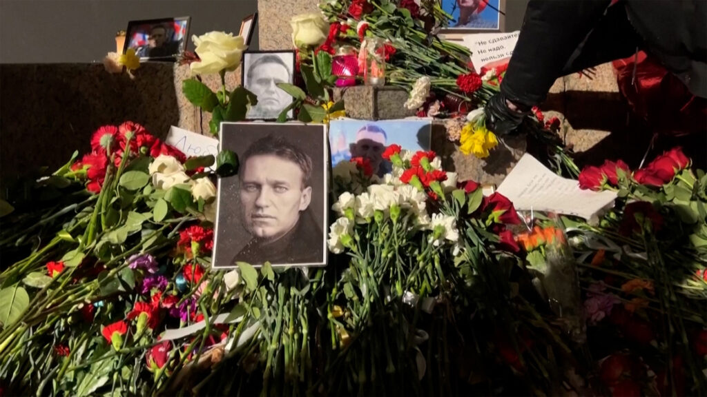 Europeans say Russia poisoned dissident Alexey Navalny with dart frog toxin | Vladimir Putin