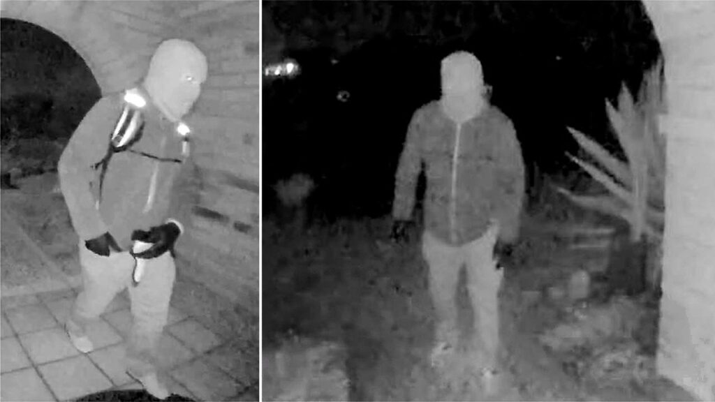 Nancy Guthrie doorbell camera images show suspect on different dates: source