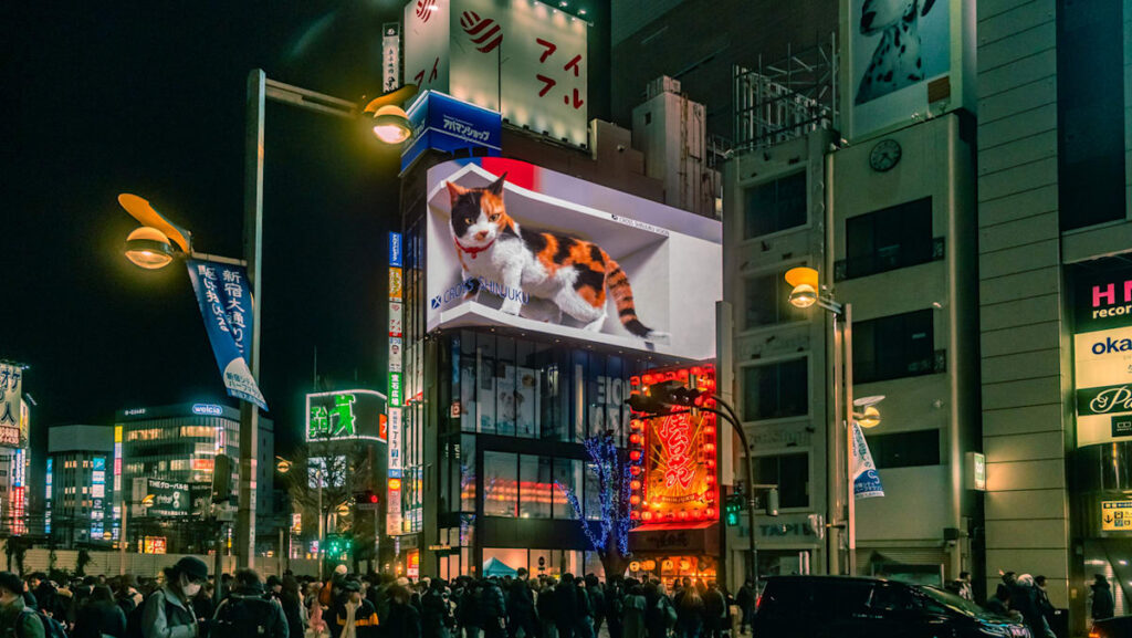 Commentary: Hello, Kitty – Japan’s US$20 billion cat boom
