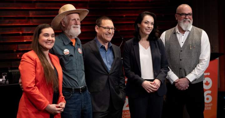 Most NDP leadership candidates say they’re in no hurry to become MPs – National