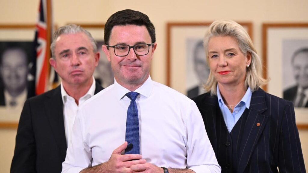 Nationals to hold vote after leader's shock resignation