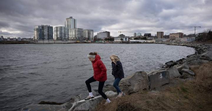 Fisheries Minister won’t allow Dartmouth Cove infilling project to move forward – Halifax