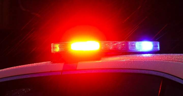 Saskatchewan RCMP saw almost 10K domestic violence victims in 2025