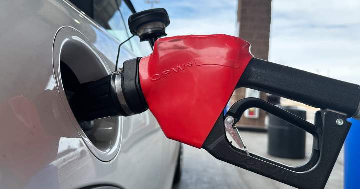 How Iran oil shock is spurring a crackdown to save energy around the world – National