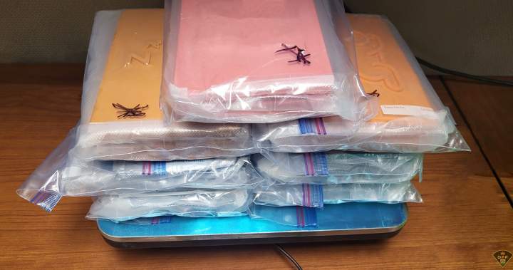 Police seize $2.3M worth of fentanyl in multi-province trafficking bust