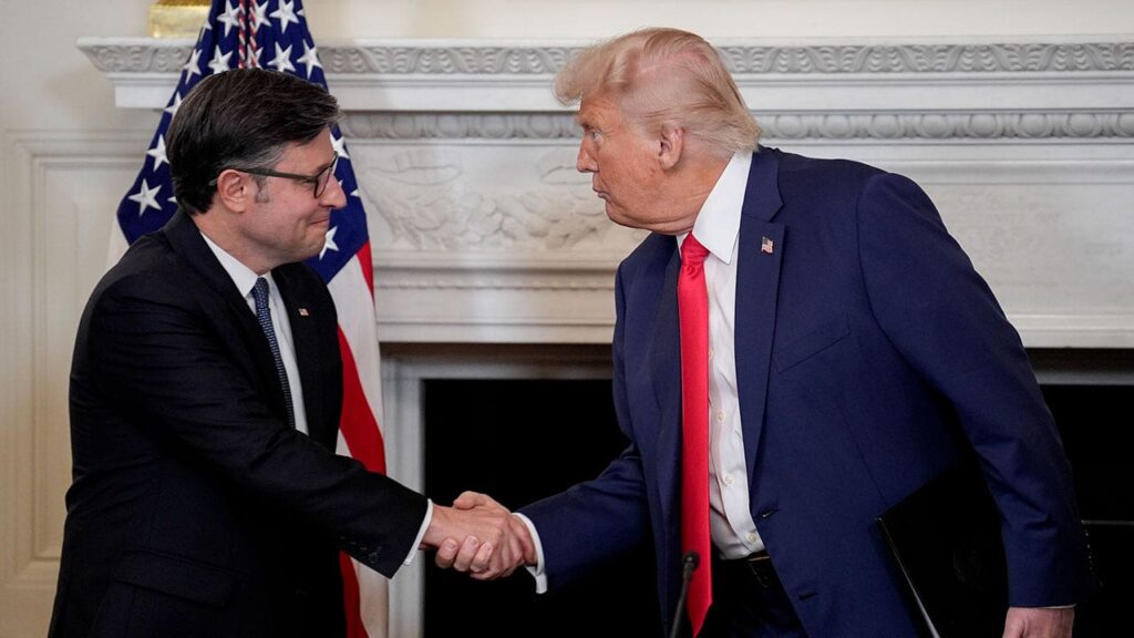 Trump is ‘on the ballot’ in November midterms, Johnson says