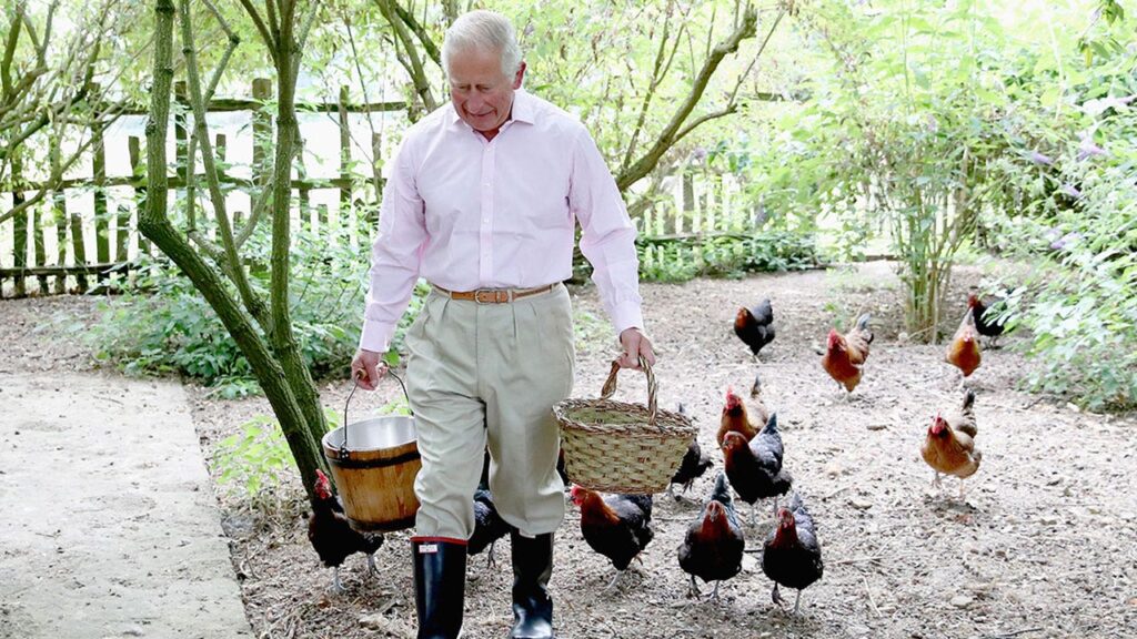 King Charles still tends to his chickens at Highgrove amid his cancer battle