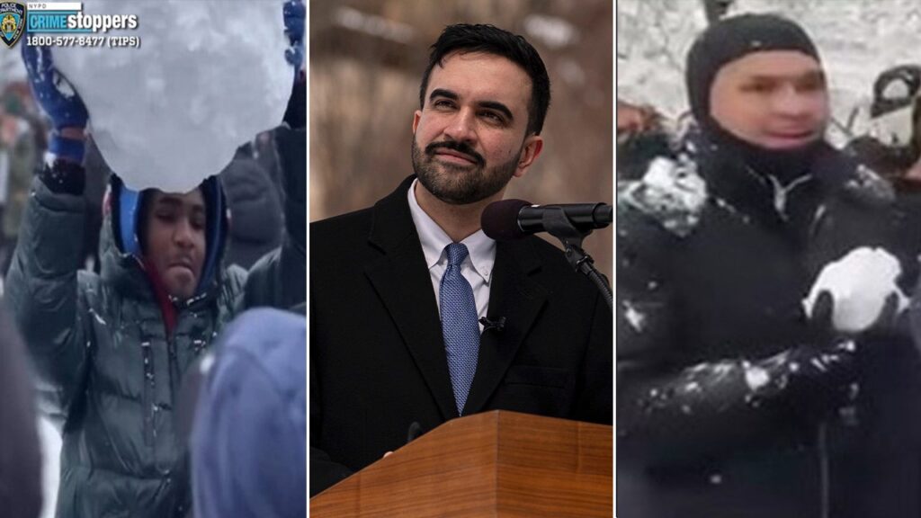 Washington Square Park snowball fight leads to second arrest