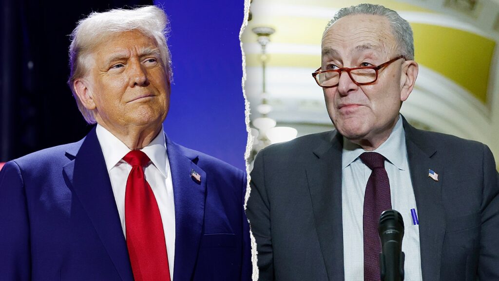 Schumer calls Trump’s plan to deploy ICE agents to US airports ‘impulsive’