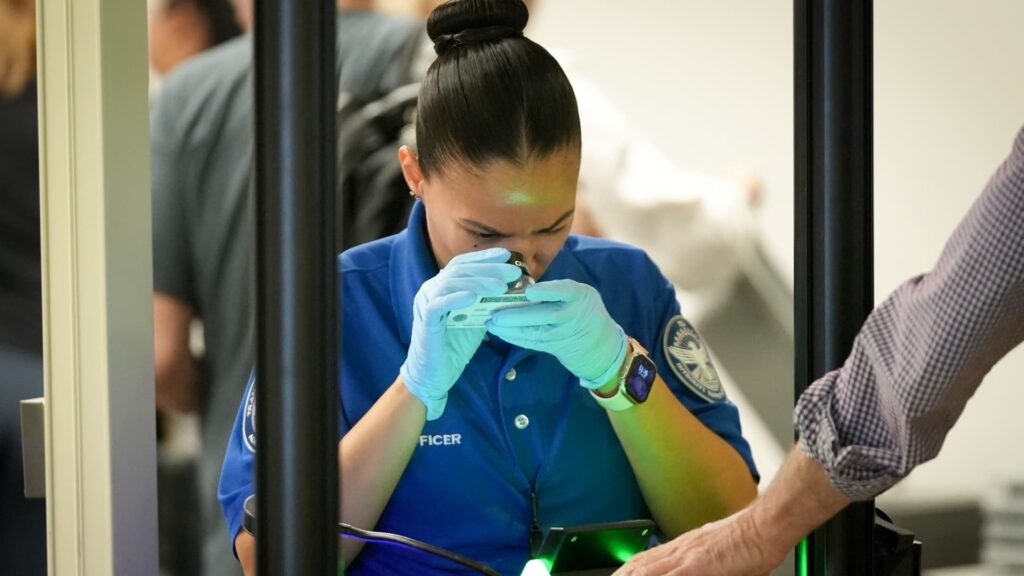 Trump is paying TSA agents — but where is the money coming from?