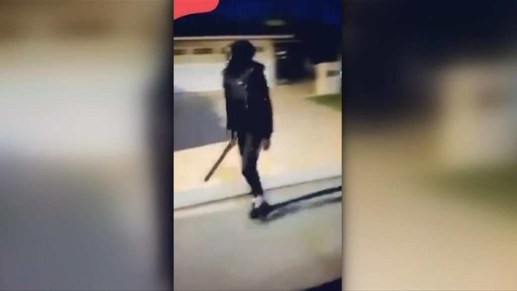 Machete attack: Mindarie house party turns violent as teen slashed by armed gang