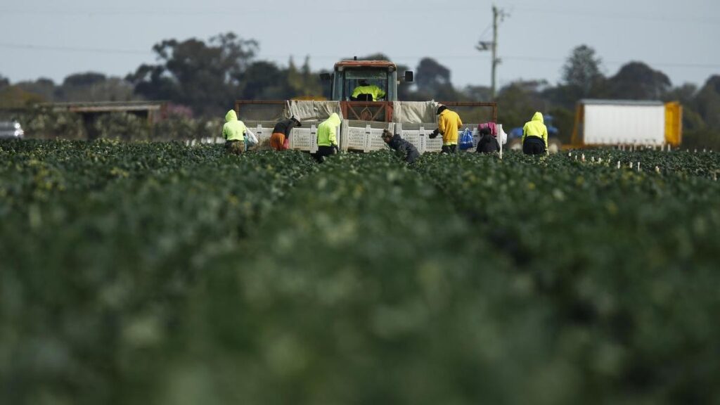 Australia looks to Southeast Asia for fertiliser amid supply crunch