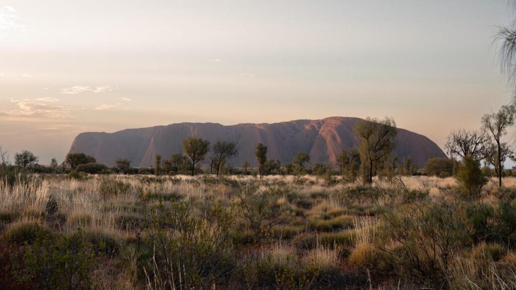 Earthquake rattles outback near NT-SA border