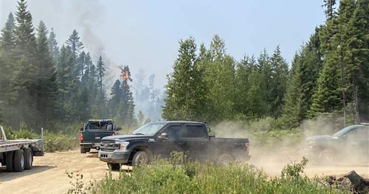 New Brunswick launches wildfire season early, anticipating hot and dry conditions this summer – New Brunswick