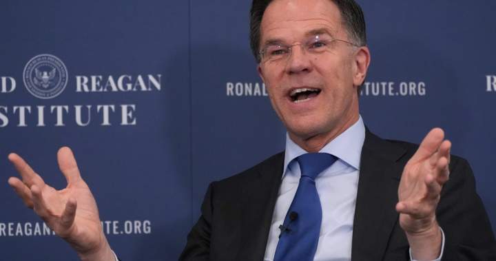 NATO chief says he understands Trump’s ‘disappointment’ with allies on Iran – National
