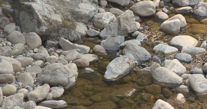 Okanagan snowpack at lowest in 40 years as drought fears ramp up