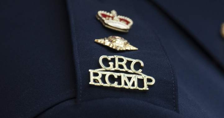 One dead in New Brunswick highway collision after driver swerved to avoid moose – New Brunswick
