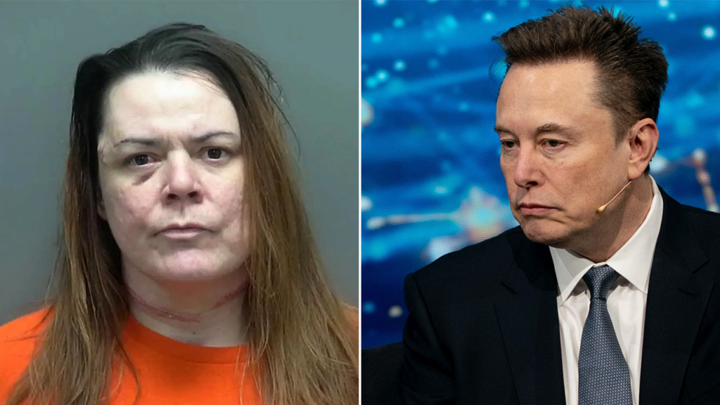Wisconsin mom claims she stabbed daughter to ‘protect’ her from Elon Musk