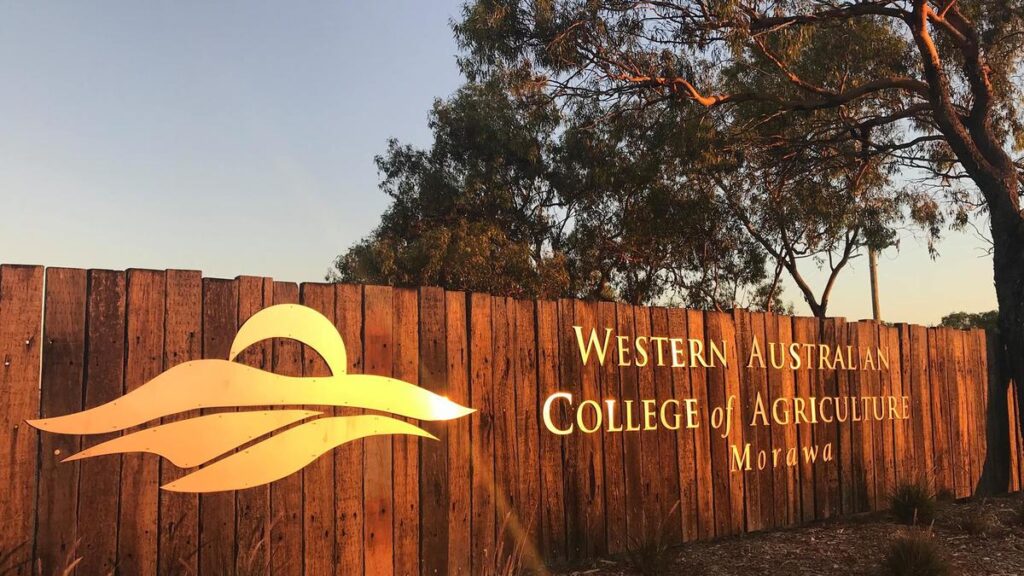 WA College of Agriculture Morawa closes after incorrect poison used when baiting for mice