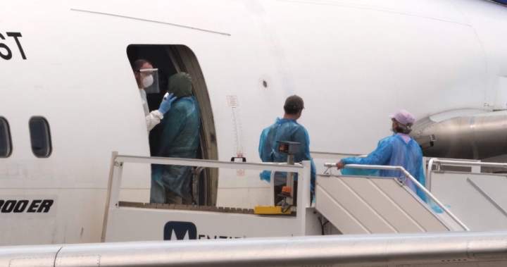 Four Canadians head to B.C. to isolate from hantavirus cruise