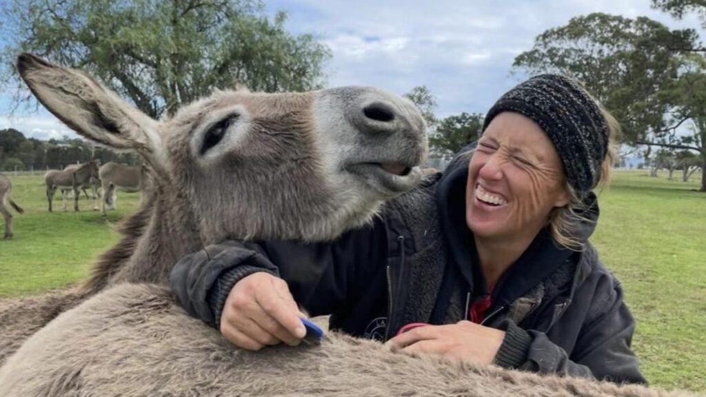 ‘Silent assassins’: How ‘feral’ donkeys keep Australia moving