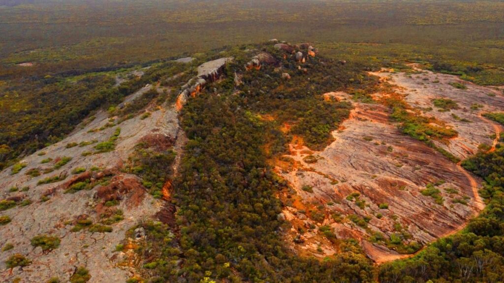 Mount Ridley kicks off WA critical metals processing testwork