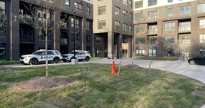 Halifax newborn death: Questions remain as community, first responders cope – Halifax