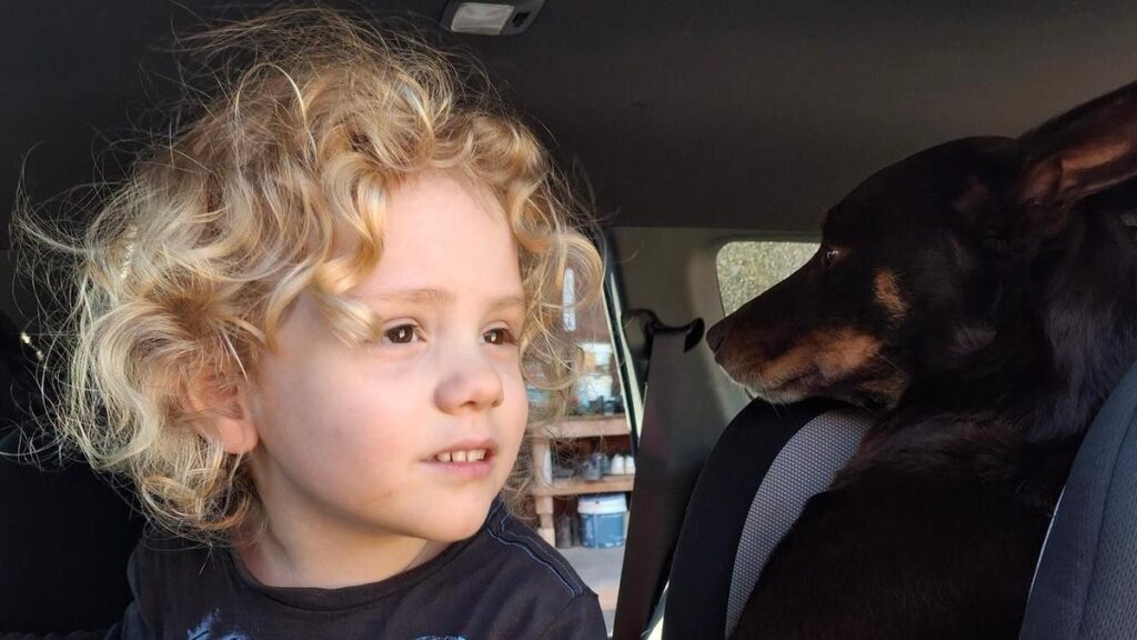 No trace of missing boy after fresh outback search