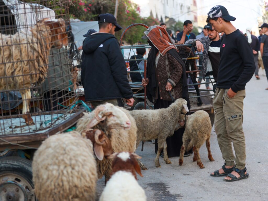‘No livestock but still hope’: Palestinians prepare for Eid al-Adha in Gaza | Israel-Palestine conflict News