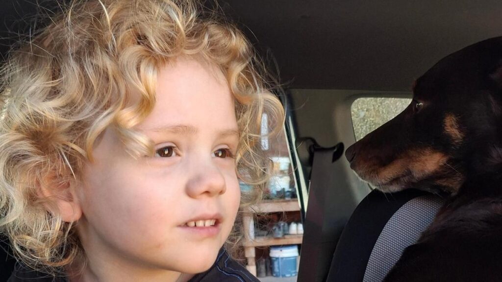 Gus Lamont mystery deepens after fresh South Australia search fails to uncover clues