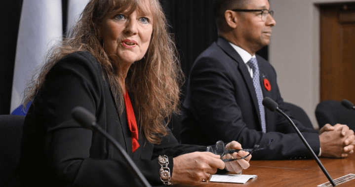 Progress, but work left to do in reform to Quebec youth protection system: minister – Montreal