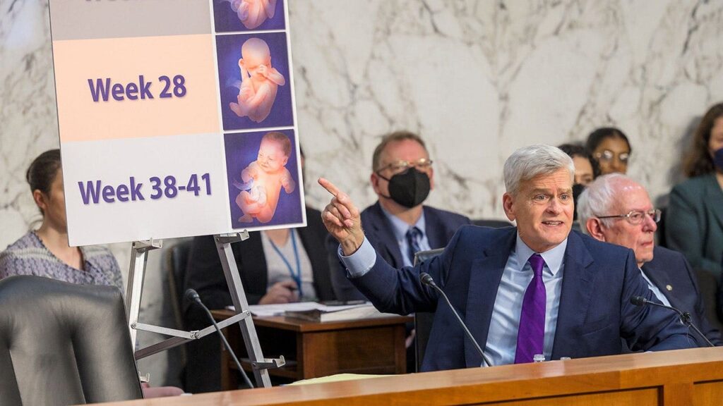 Man in a suit at a hearing points to a display board labeled Week 28 and Week 38–41 with baby photos.