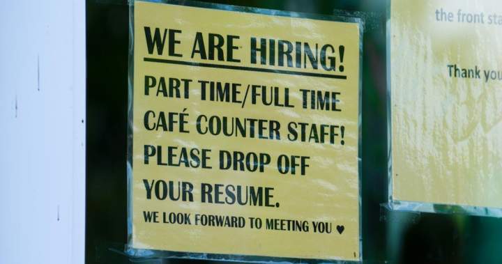 Young Canadians are looking for jobs — just not where employers are hiring – National