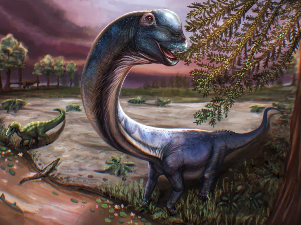 Scientists identify massive new dinosaur following Thailand dig | Science and Technology News