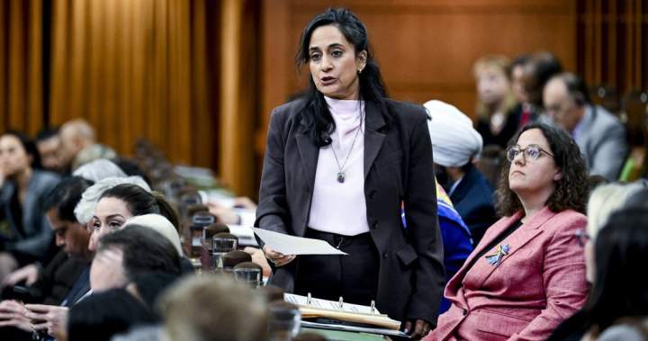 Anand to pitch Canada defence, economic ties during Persian Gulf trip – National