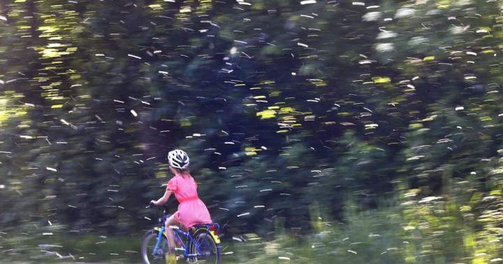 Runny nose? Itchy? Experts say seasonal allergies worsening due to increase in pollen – National