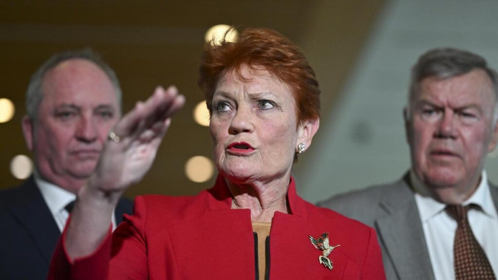Angus Taylor’s budget reply ‘replete with One Nation policies’, Pauline Hanson claims