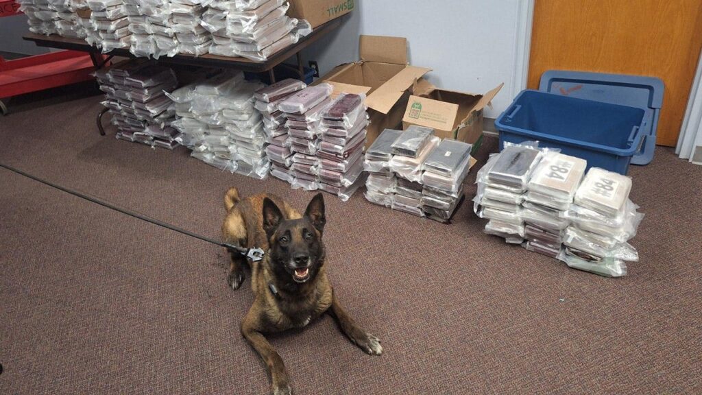 525 pounds of cocaine seized after Nebraska K9 alerts troopers on I-80