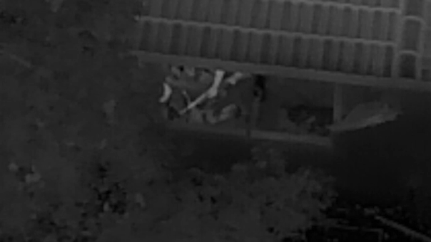 Video shows deputies use armored BearCat to run over armed suspect